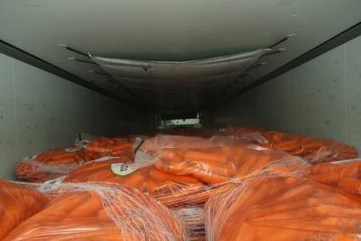 21 тонну потенциально опасной моркови не пустили в Псковскую область