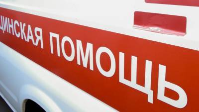 Водитель иномарки столкнулась с панелевозом и погибла под Челябинском