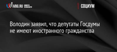 Володин заявил, что депутаты Госдумы не имеют иностранного гражданства