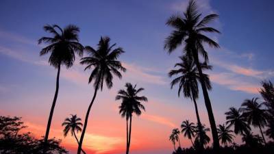 АТОР назвала главные правила посещения курортов Шри-Ланки