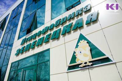 Сыктывкарский суд заключил под стражу замначальника и специалиста отдела снабжения птицефабрики "Зеленецкая"