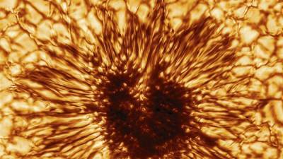 Ученые воссоздали солнечную активность за последнюю тысячу лет