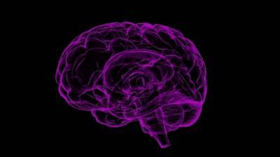 Американские ученые изобрели способ омоложения мозга