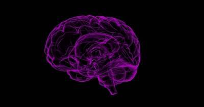 Ученые нашли способ сохранить молодость мозга