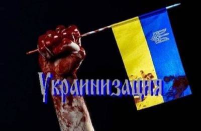 На Украине начались увольнения за плохое владение «мовой»