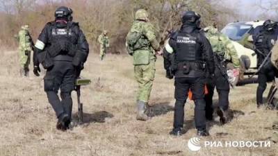 РИА-Новости: При ликвидации террористов в Чечне были ранены пять спецназовцев МВД