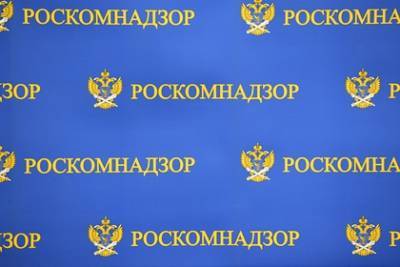 Роскомнадзор потребовал удалить призывы в «ВКонтакте» к участию детей в митингах