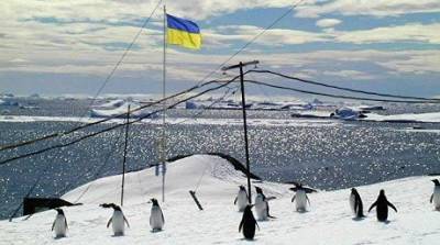 Кабмин утвердил программу исследований в Антарктике - enovosty.com