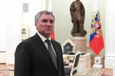 Володин призвал «передавать материалы» о втором гражданстве у депутатов