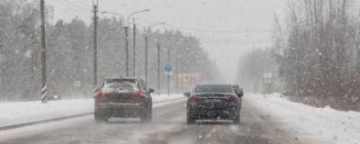 Метель и морозы ожидаются в Ленинградской области 21 января