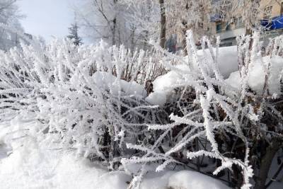 Синоптики прогнозируют в Оренбургской области 33 градуса мороза