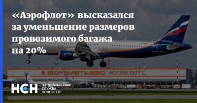 «Аэрофлот» высказался за уменьшение размеров провозимого багажа на 20%