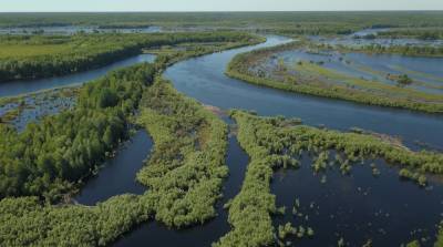 Ученые ТГУ составили карту Васюганского болота
