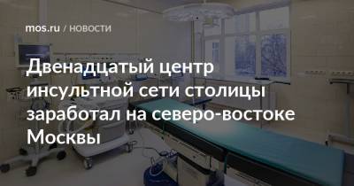 Двенадцатый центр инсультной сети столицы заработал на северо-востоке Москвы