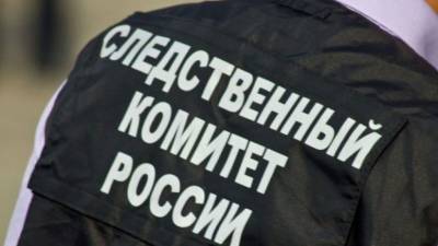 Аслан Бютукаев - СК возбудил уголовное дело после спецоперации против боевиков в Чечне - 5-tv.ru - респ. Чечня - район Ачхой-Мартановский - Следственный Комитет