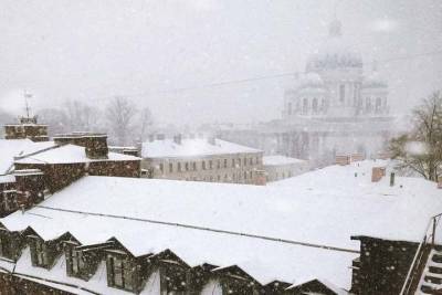 Циклон «Кристоф» принесет в Петербург 21 января метель и снегопады