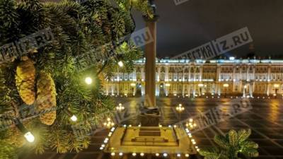 Петербургский руфер залез на елку на Дворцовой площади — видео