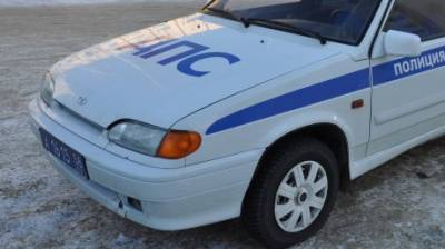 В Бековском районе водитель без прав набросился на сотрудника ДПС - penzainform.ru - с. Сосновка
