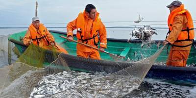 Россия согласилась на требования Китая по рыбе
