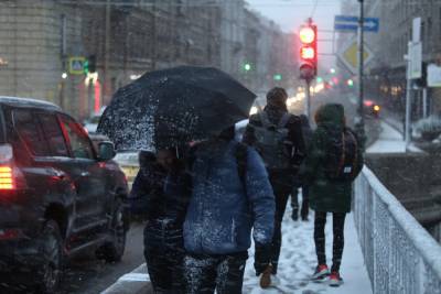 Спасатели предупредили петербуржцев о сильном снегопаде
