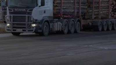 Столкновение с грузовиком унесло две жизни в Челябинской области