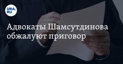 Адвокаты Шамсутдинова обжалуют приговор