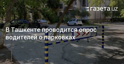 В Ташкенте проводится опрос водителей о парковках