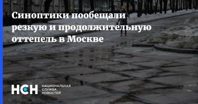 Синоптики пообещали резкую и продолжительную оттепель в Москве