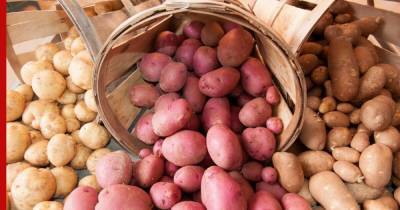 Ограничить цены на картофель, макароны и яйца рекомендовали регионам