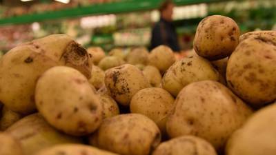 Регионы России получили указание по сдерживанию цен на макароны и картофель
