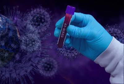 Где в Ленобласти выявили 225 случаев коронавируса к 21 января
