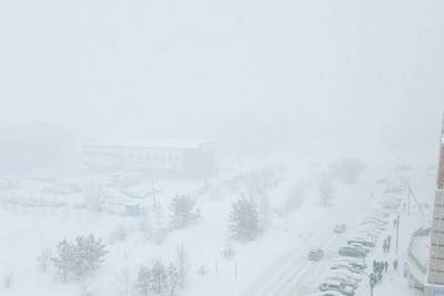В Тамбовской области снова прогнозируют снегопад