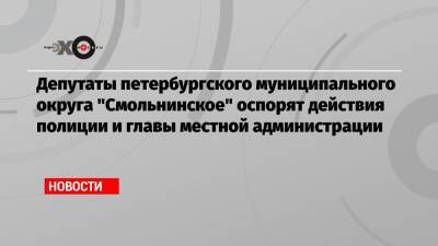 Депутаты петербургского муниципального округа «Смольнинское» оспорят действия полиции и главы местной администрации
