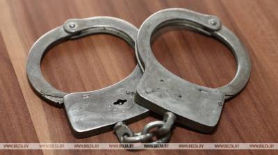 В Витебске задержали двух человек за оскорбления милиционеров
