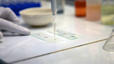 СМИ: Южноафриканский штамм коронавируса несет в себе риск повторного заражения