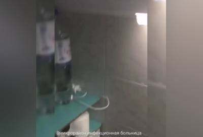 Тараканов в липецкой больнице потравят после жалобы пациентки