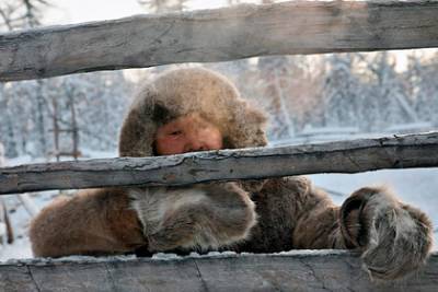 В Якутии зафиксировали аномальные 58 градусов мороза
