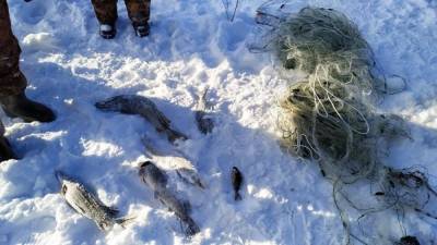 На озере Увильды нашли шесть сетей, оставленных браконьерами