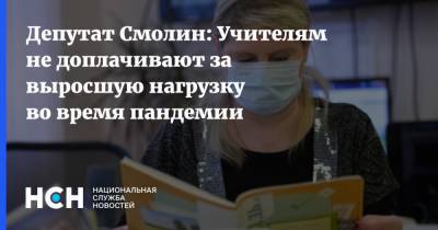 Депутат Смолин: Учителям не доплачивают за выросшую нагрузку во время пандемии