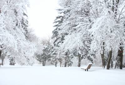 Петербуржцев предупредили о сильных снегопадах 21 и 22 января