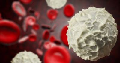 Ученые создали фрагмент ДНК, уничтожающий раковые стволовые клетки в крови - focus.ua