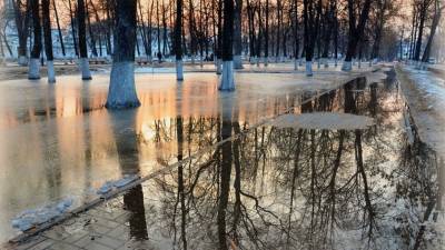 В Москве ожидается оттепель