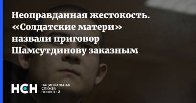 Неоправданная жестокость. «Солдатские матери» назвали приговор Шамсутдинову заказным