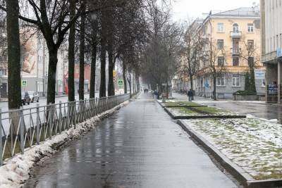 Гололед и мокрый снег прогнозируют псковские синоптики 22 января