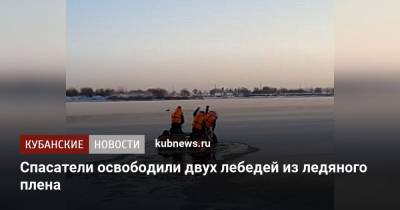 Спасатели освободили двух лебедей из ледяного плена