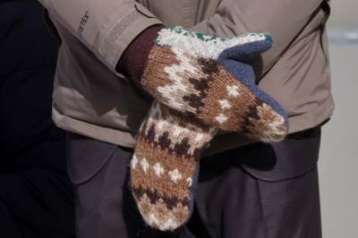 Американский сенатор Берни Сандерс пришел на инаугурацию Байдена в рукавицах: Сеть взорвалась мемами