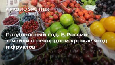 Плодоносный год. В России заявили о рекордном урожае ягод и фруктов