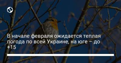 В начале февраля ожидается теплая погода по всей Украине, на юге – до +15