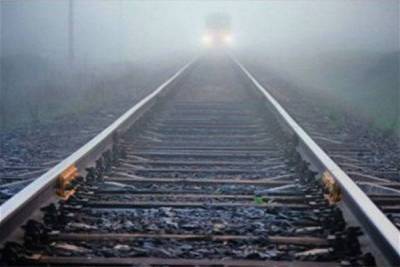 Поезд насмерть сбил пьяную женщину в Гатчинском районе