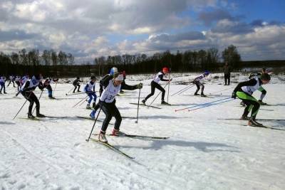 Ряд спортивных объектов приведут в порядок в Серпухове